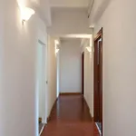 Mulinetti * רקו